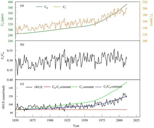三、 新手必交的三种智商税