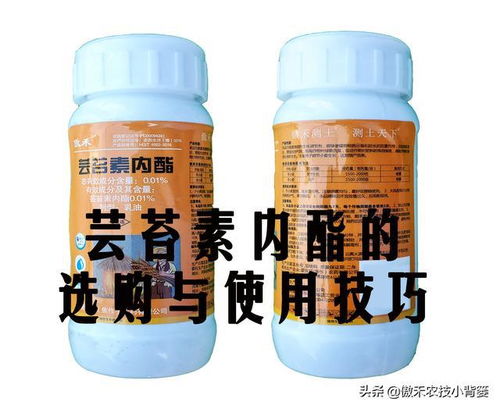 小麦拌种时哪种芸苔素内酯除草剂效果最佳？