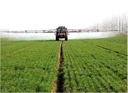 早上，下午，到底哪个好？