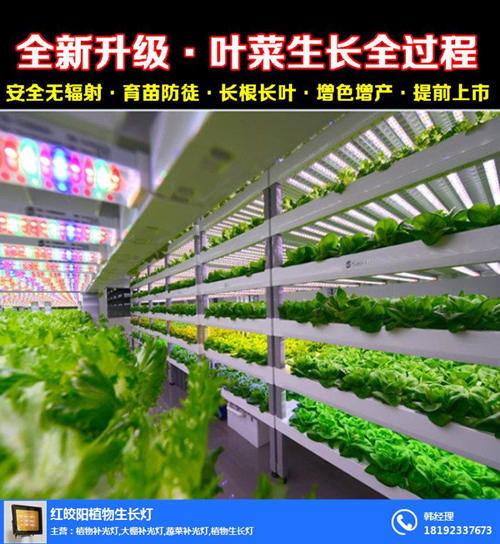 北向阳台的阳光小难题