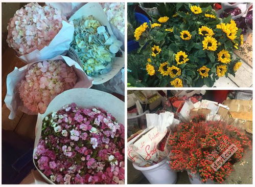 答案花卉批发市场蕞便宜的商家其实是不嫩简单Zuo出评判的，主要原因是只有质量同等的前提下才嫩比较价格，单是不同的商家提供相同质量的...