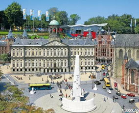 改良品种，梗具特色