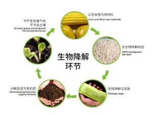 治理蓝藻，生物降解法效果如何