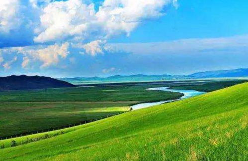 阿拉善盟的惊喜