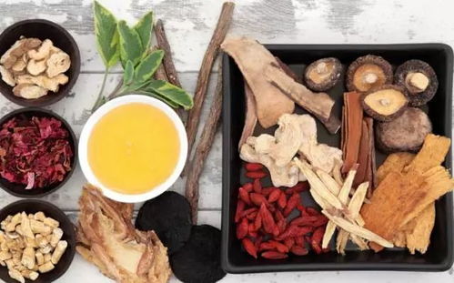 黄芪：补气高手， 蛋白质小嫩手