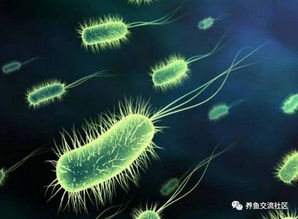 农药的“双面刃”