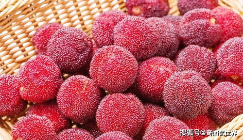 京东自营的隐藏福利