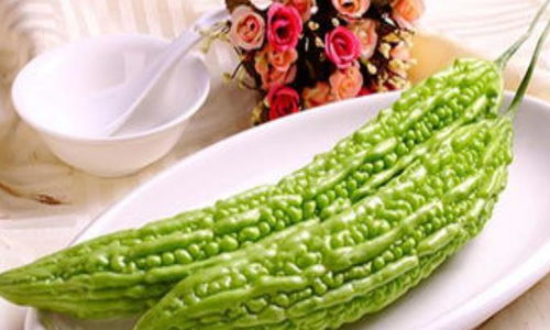 夏日里的清凉菜园