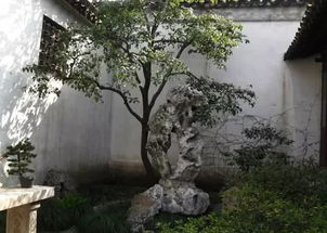 探寻古希腊园林中的柱廊与喷泉之美