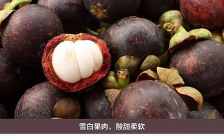 挑选山竹，看颜色、摸硬度、闻气味
