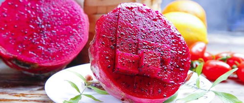 蜜红火龙果，适应低温的佳品