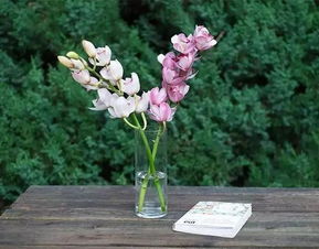 养花的好处，你懂吗？