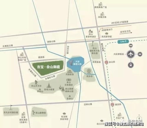 “探寻金弹子生长地，揭秘神秘宝藏的所在地在哪里