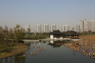 武汉市黄鹤楼园林景观绿化工程有限公司武昌分公司