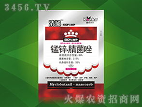 河北邢台果园的实战案例