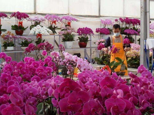 捡漏时刻表：时间点，清货甩卖，折价处理