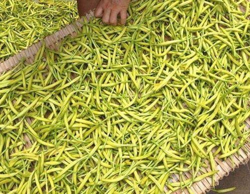 生活中的小技巧