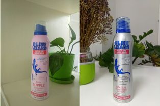 关于平菇，你真的了解多少？