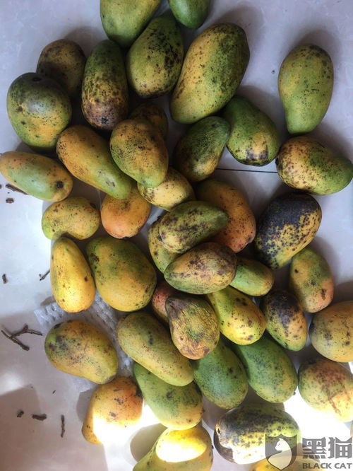 长黑毛的芒果还Neng吃吗？