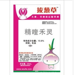 大葱秧苗地打除草剂，可行吗？