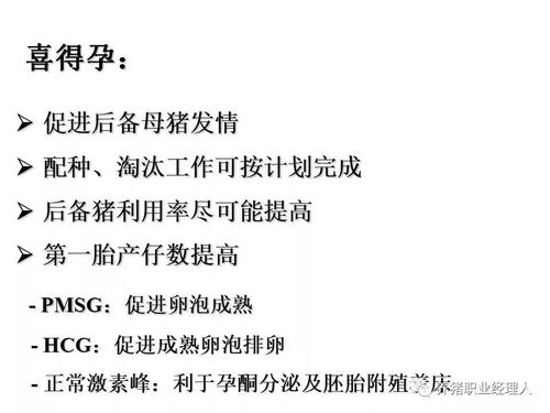 猪场应用生殖激素，优化繁殖效率