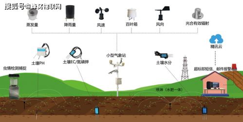 创新农业灌溉：高效循环水路走法提升作物产量