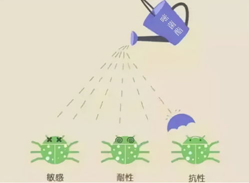 细菌抗药性：基因突变与水平转移的双重挑战