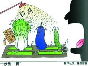 婚姻的责任：付出与回报