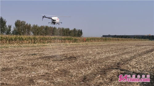 三维数字农场， 轻松又高效