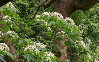 1. 要钱还是要命？