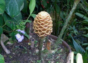 染后土壤也是关键