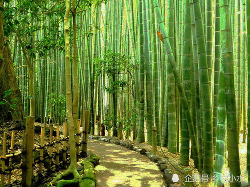 四川特产与美食