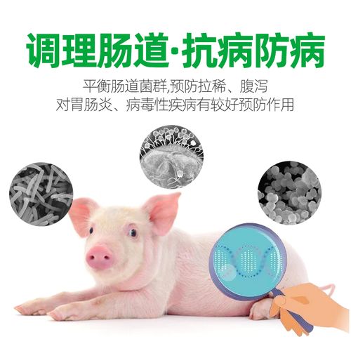 喂什么合法添加剂能让猪在三个月内快速出栏？