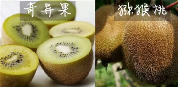 猕猴桃毛茸茸，奇异果光滑亮