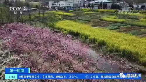 生态林果， 硕果累累