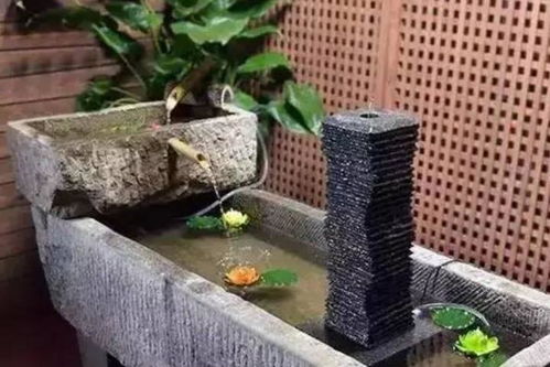 高层楼房养花技巧：如何让花草长得旺盛