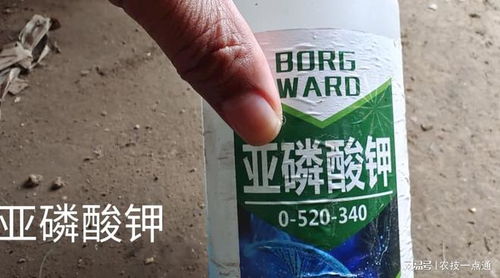 亚磷酸钾：农药混配的神秘伙伴