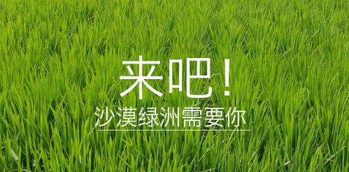 亩均省工费200元，这方法靠谱吗？