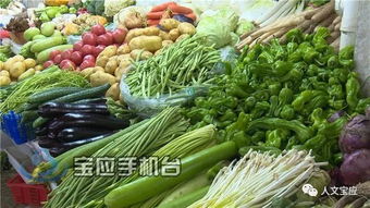 日本因降水不足，卷心菜等蔬菜因供应减少而价格上涨