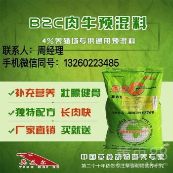 高效牛饲料：快速增重与肥育技巧揭秘