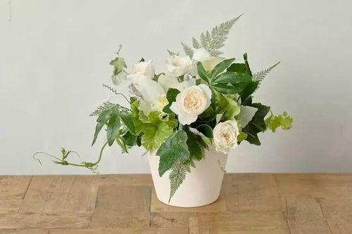 秋季花卉保鲜技巧：黄鳝式贮运法揭秘