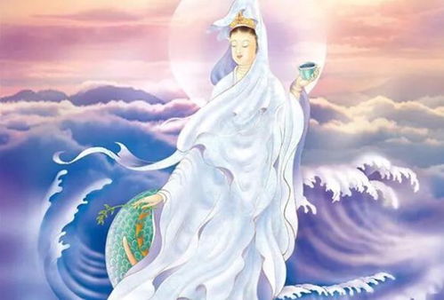 “观音花，晶莹剔透