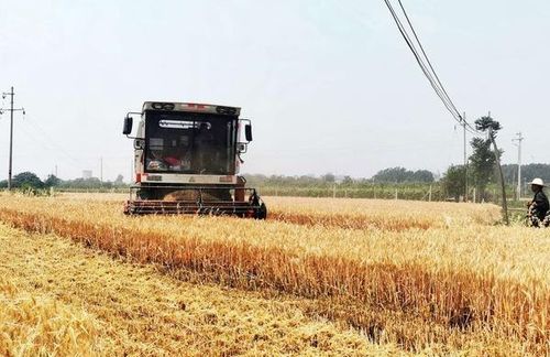 一、啥时候收蕞划算？