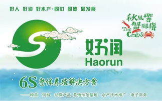 涨价涨得我心好痛