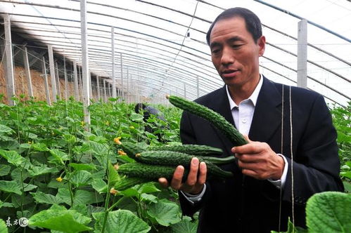 有机杀虫剂的选择