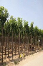 供需关系对价格的影响