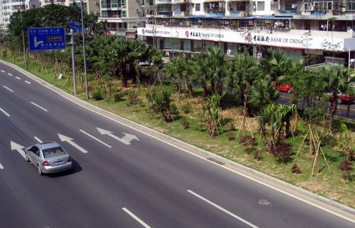 城市绿化、铁路公路两侧绿化，美丽中国需要你