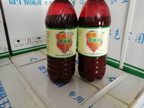 株洲茶油品牌，传统之选，品质保证！