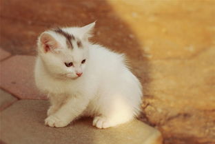 精心呵护， 从健康检查开始