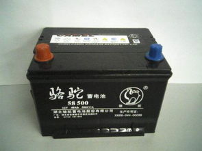 品牌与型号：价格差异大不大